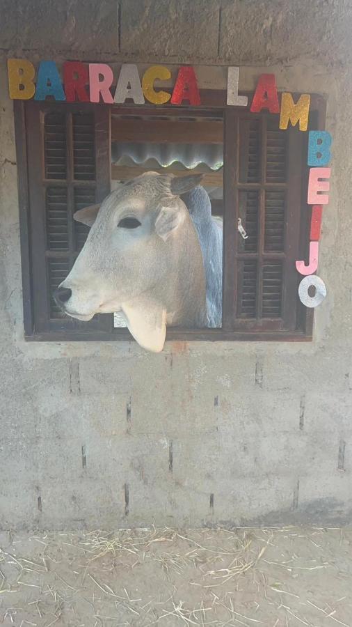 Hostel Santuario De Protecao Animal Filhos De Salomao Bragança Paulista Exterior foto